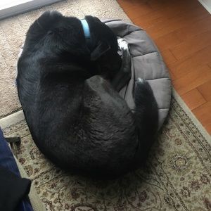 Meet your Posher, Cas